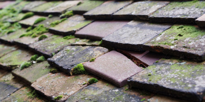 Mitcheldean roof repair costs